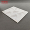 Hochbeständige quadratische PVC-Lamellenwandpaneele, modernes Design, 250 mm x 5 mm